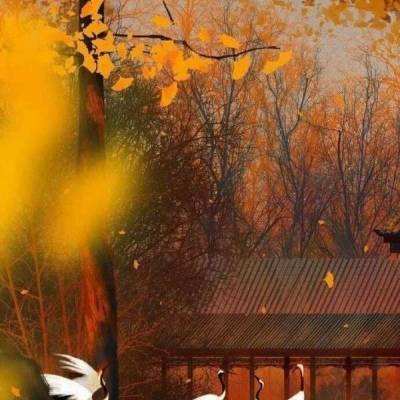 天剑九诀官方版下载